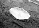 Menthol Eucaliptus.webp