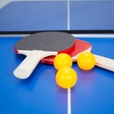 Mesa de Mini Ping-Pong plegable - Foto 2