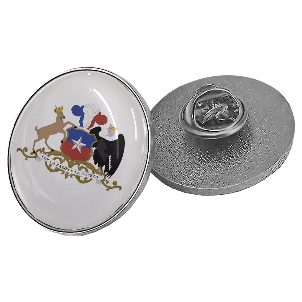 Piocha con Domo Broche Redondo 30mm PLATEADO (pins) - Foto 1