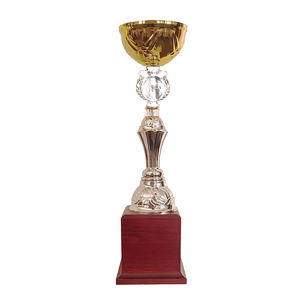 Copa BLAS 30 - Foto 1