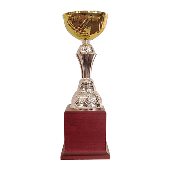 Copa BLAS 30 - Foto 2