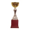 Copa BLAS 30 - Foto 3