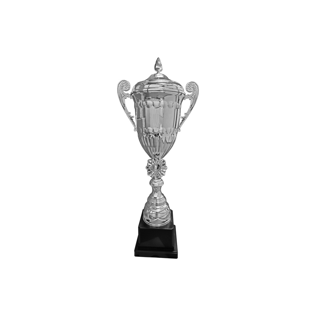 Copa JEN12 - Foto 4
