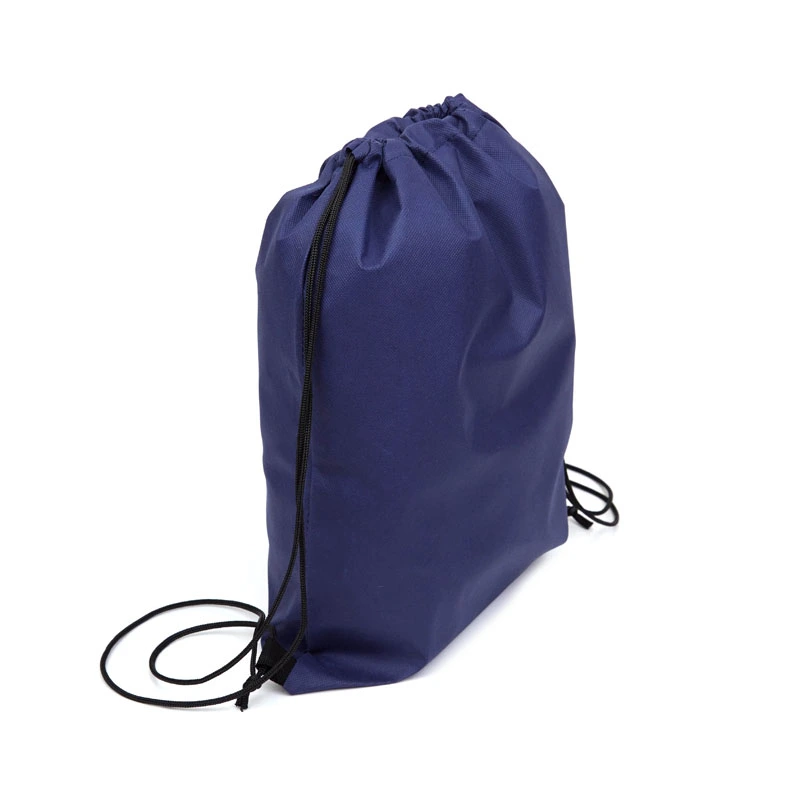 [21094000004009009000] Mochila Friz -[21094000004]a (Azul) - foto 2