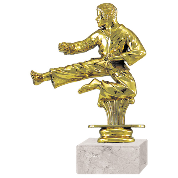 Trofeo Plástico Karate Rp-8416 - Trofeos | Tara Publicidad