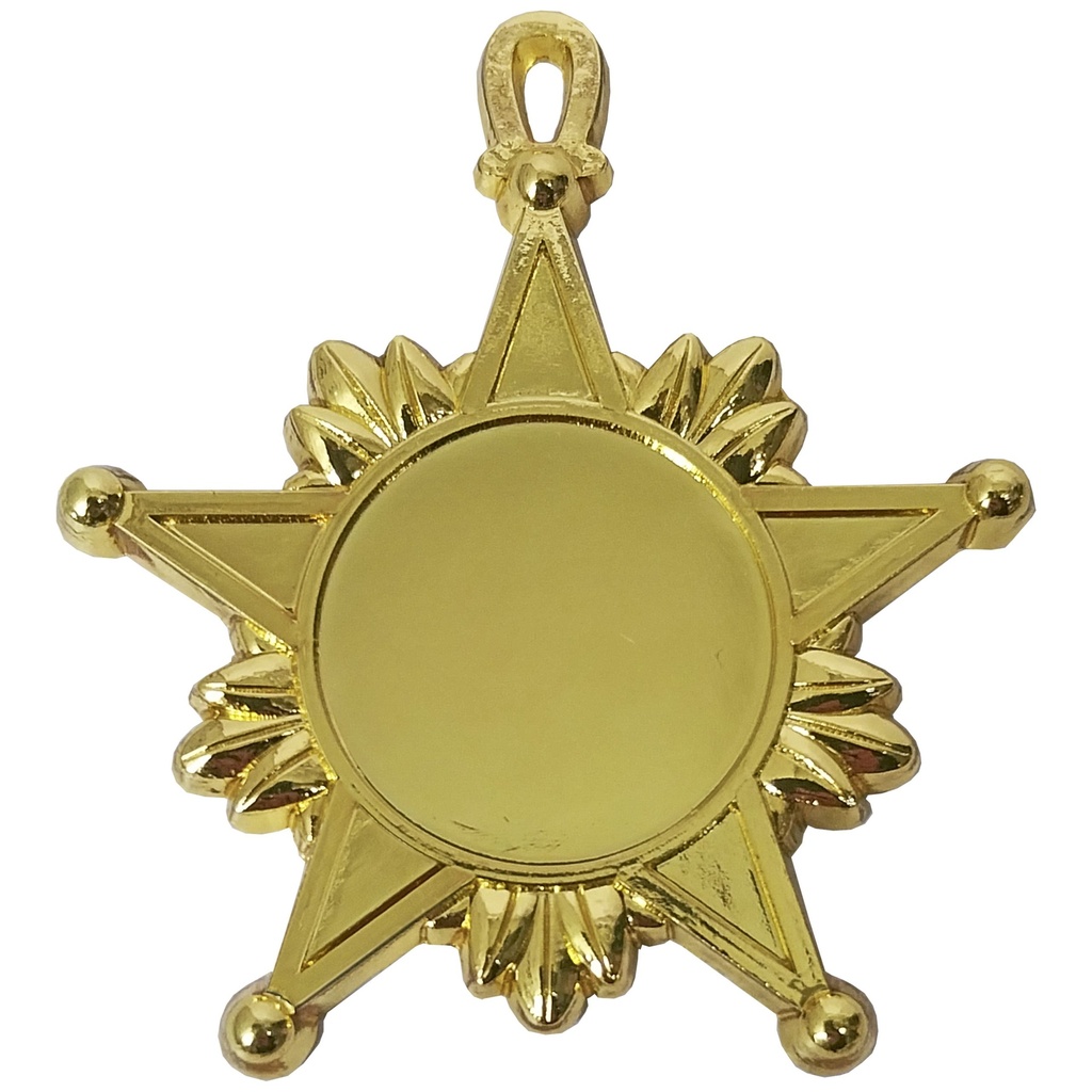 Medalla Condecoración De Fierro Estrella Con Hojas CON03 | Tara