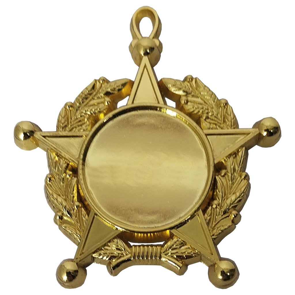 Medalla Condecoración De Fierro Estrella Laurel CON02 | Tara