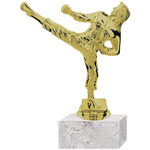 Trofeo Plástico Karate Femenino | Tara Publicidad Chile