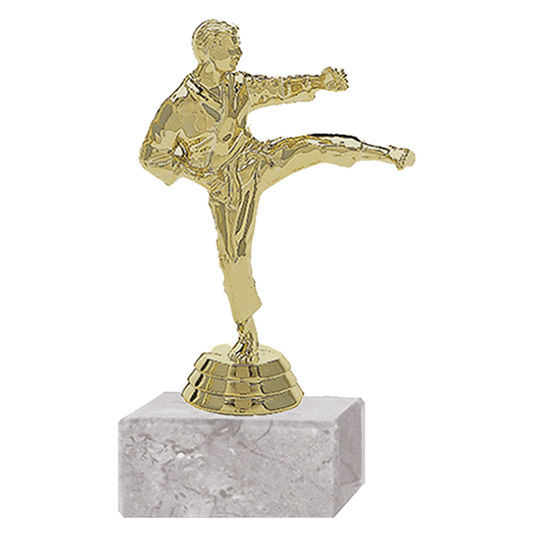 Trofeo Plástico Karate Masculino - Trofeos | Tara Publicidad