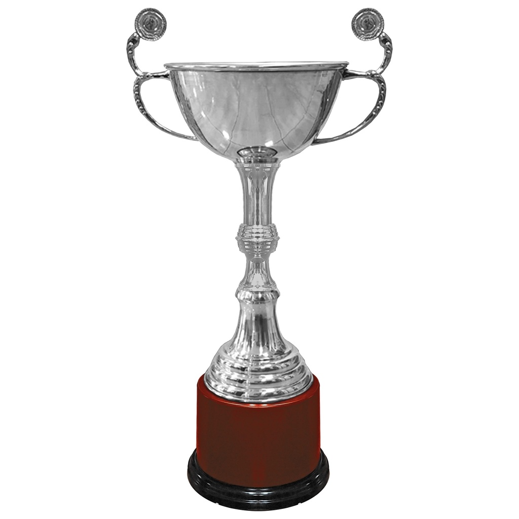 Copa Super Campeón 737 -[COPA737]b