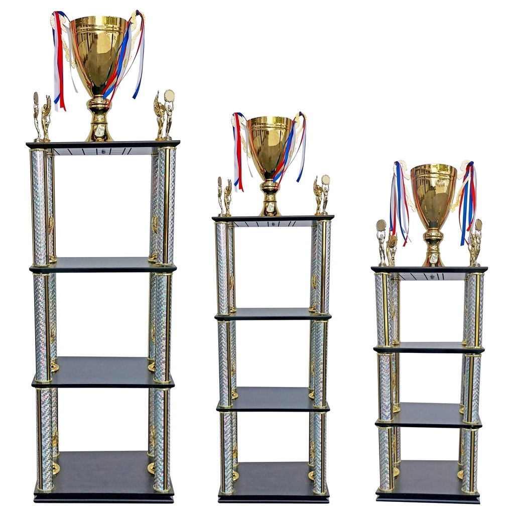 Copa Torre DGO10 -[COPADGO10]b