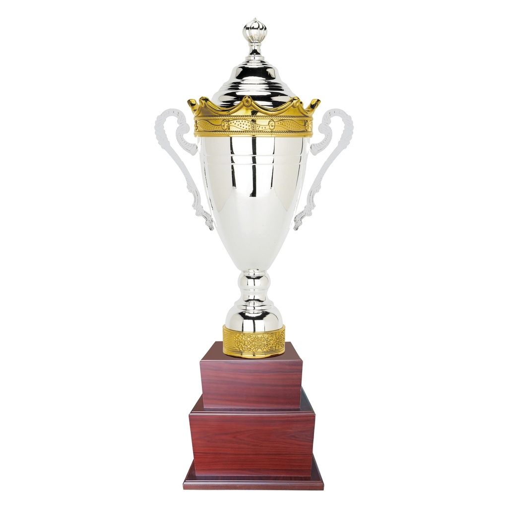 Copa H200 -[COPAH200]b