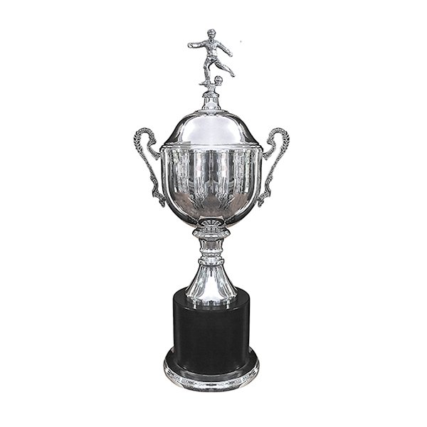 Copa Inglesa 115 -[COPAINGLESA115]b