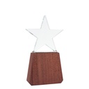 Trofeo De Madera Y Cristal "Lonely Star" -[A78]d