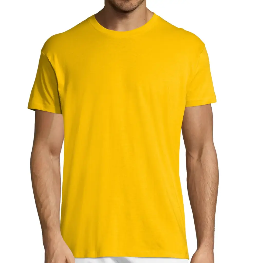 Polera Regent -[SKU089]a