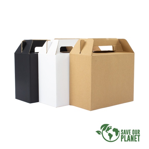 [F28] Caja Autoarmable Con Asas, 25x20x12  cm -[F28]d