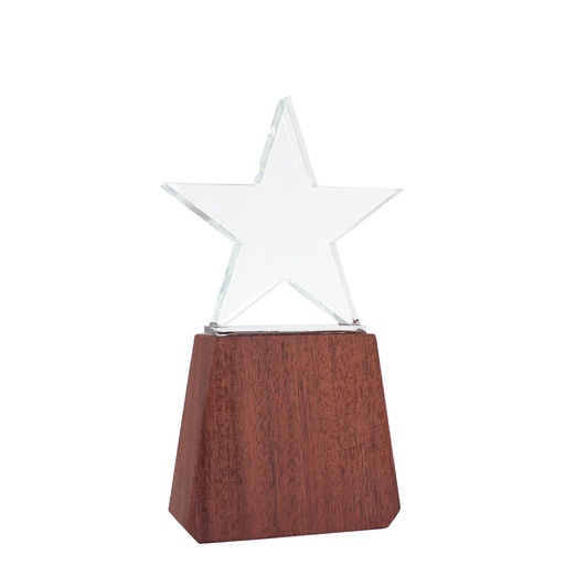 [A78-11] Trofeo De Madera Y Cristal «Lonely Star» -[A78]d