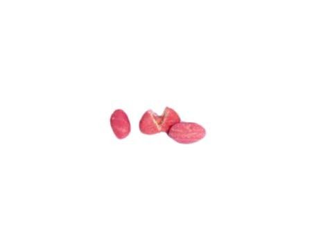 [DUL17] Chicle Grosso Chrunch en Sachet -[DUL17]