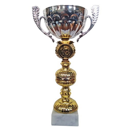 [591086271] Copa BTC 4