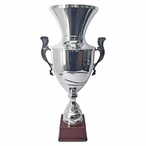[591086392] Copa CAS 100