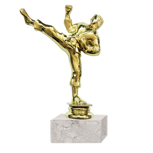[591095177] Trofeo plástico Artes Marciales RP-8015