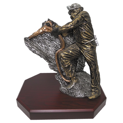 [591084087] Trofeo Resina FR Minero