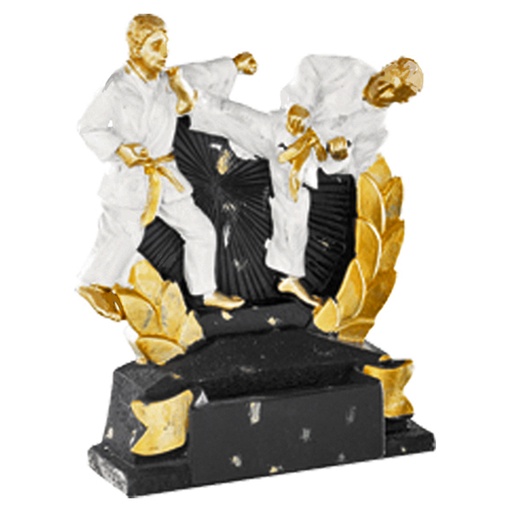 [591098601] Trofeos Resina Karate 21913