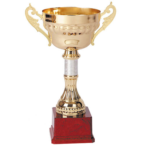 [2007] Copa 2007