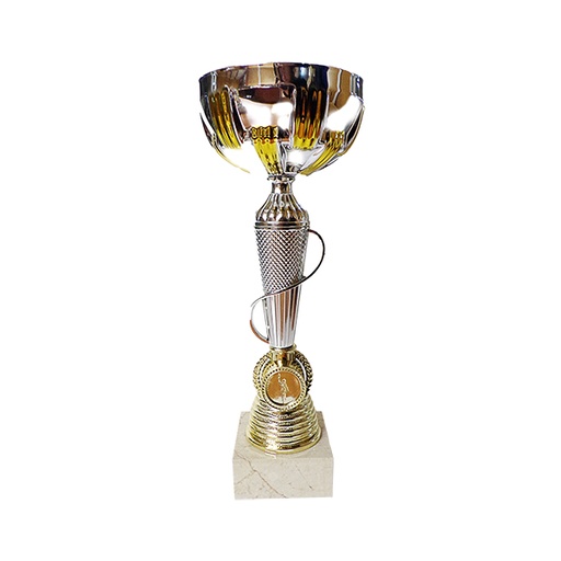 [3001] Copa 3001