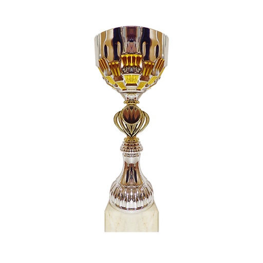 [3045] Copa 3045