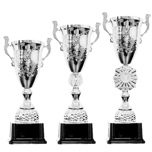 [CAS 3] Copa CAS 3
