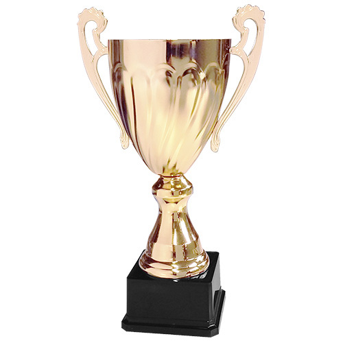 [CY 2013] Copa CY 2013