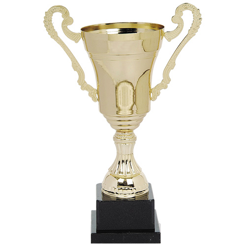 [CY 2025] Copa CY 2025