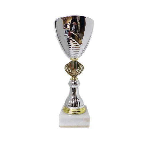 [PA 3012] Copa PA 3012