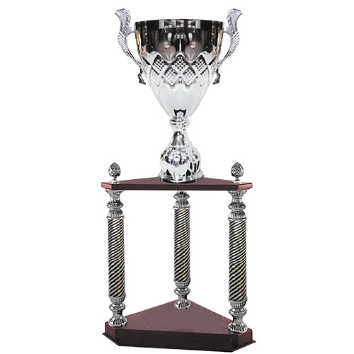 [4144] Copa Torre 4144