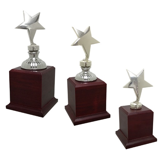 [ES] Trofeo Estrella ES