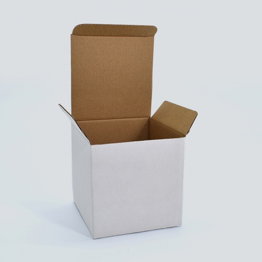 [601040054] Cajas de Cartón Mod.04