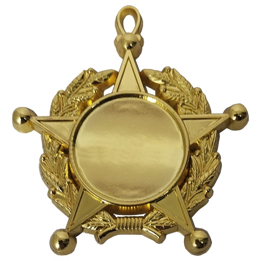 [591077041] Condecoración Estrella Laurel CON02