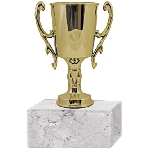 [591094101] Trofeo Plástico Copa Chica  2