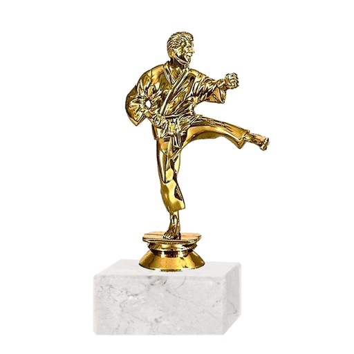 [591094168] Trofeo plástico FR Karate Grande