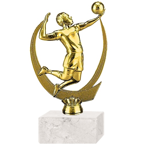 [591094152] Trofeo plástico FR Vóleibol Jugador