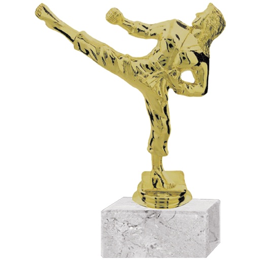 [591094008] Trofeo Plástico Karate Femenino