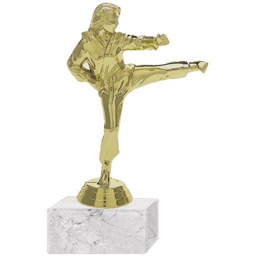 [591094060] Trofeo Plástico Karate Femenino 2