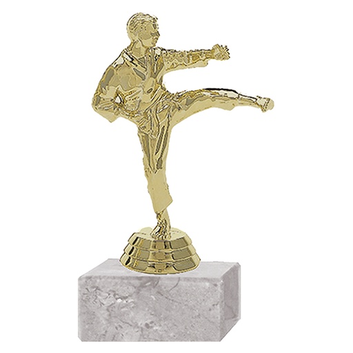 [591094010] Trofeo Plástico Karate Masculino