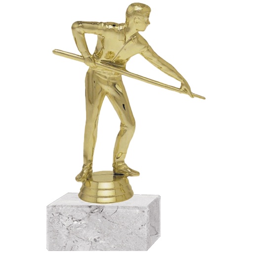 [591094018] Trofeo Plástico Pool Masculino