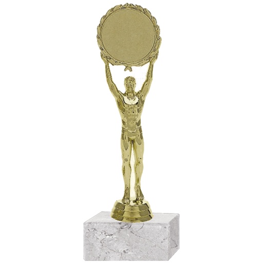 [591094026] Trofeo Plástico Victoria Hombre