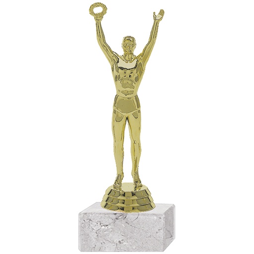 [591094107] Trofeo Plástico Victoria Masculino
