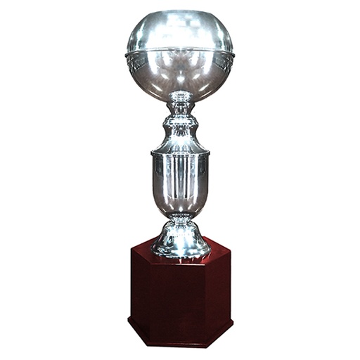 [ALEMANIA 217] Copa Alemania 217