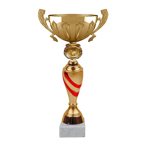 [BLAS 4] Copa Blas 4 -[COPABLAS4]b