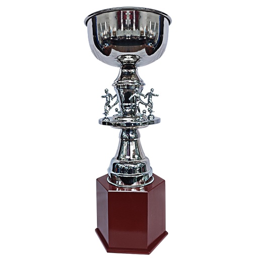 [GRAN CAMPEON] Copa Gran Campeón